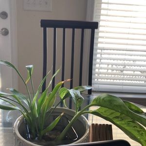 Meet your Posher, Akanksha